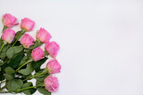 Pink roses on a white background. Top view, copy space. greeting card