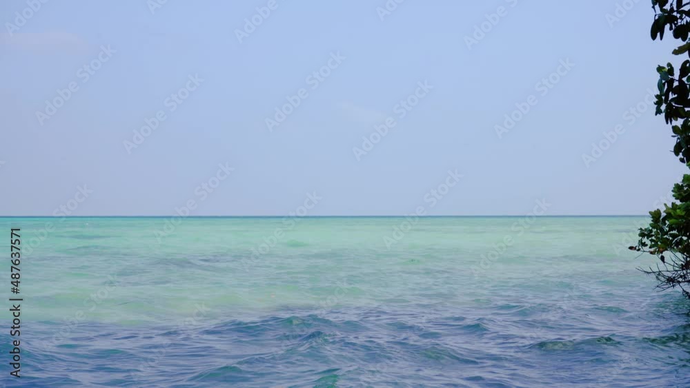 panning shot from green tree to the turquoise blue waters of the sea at the famous radhanagar beach in havelock swaraj dweep in andman nicobar island india a tropical vacation spot panning shot from green tree to the turquoise blue waters of the sea at the famous radhanagar beach in havelock swaraj dweep in andman nicobar island india a tropical vacation spot