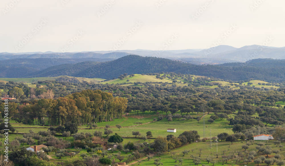 Rural landscape with meadows, pastures, groves and forests in the Sierra de Aracena (Andalucia, Spain). Natural park with wide green pastures of grass, cork oaks, holm oaks and chestnut trees.