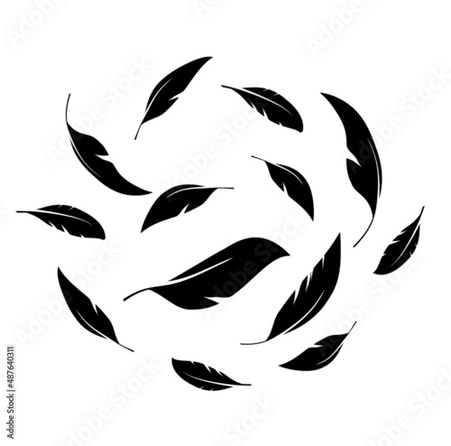 Flock of black feathers falling isolated on white background. Vector 