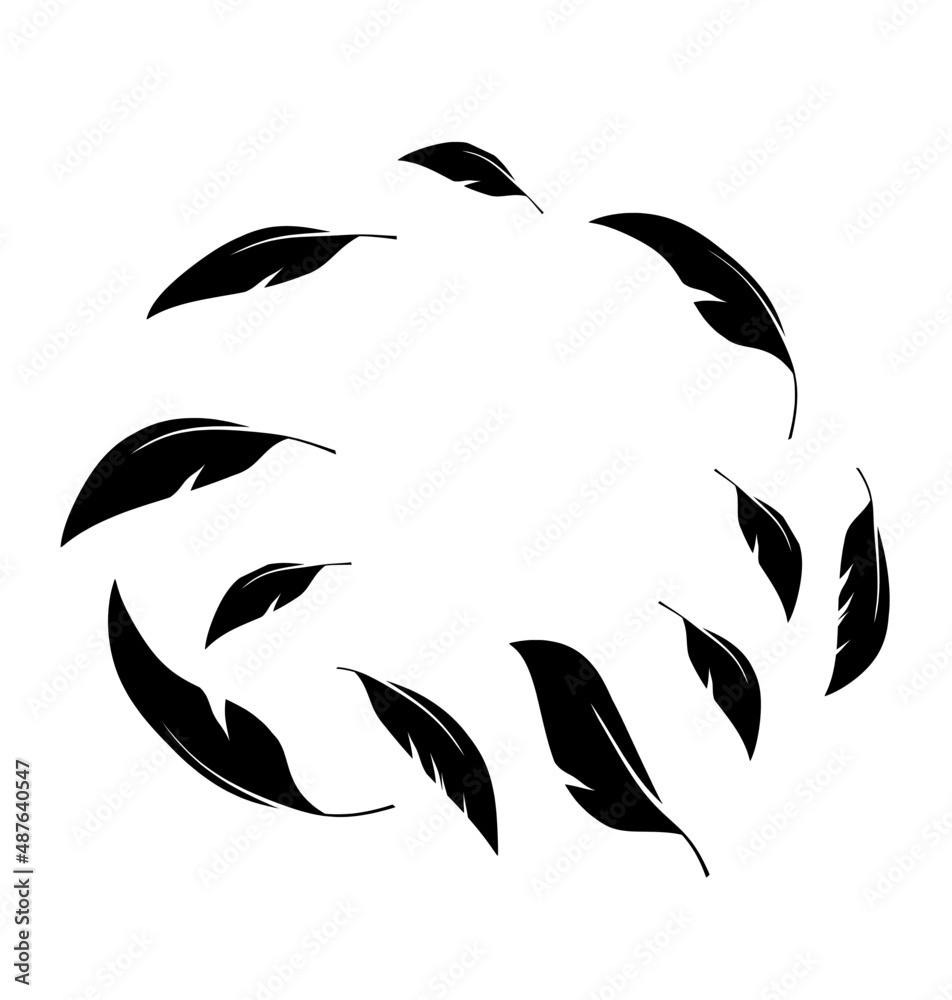 Flock of black feathers falling isolated on white background. Vector	