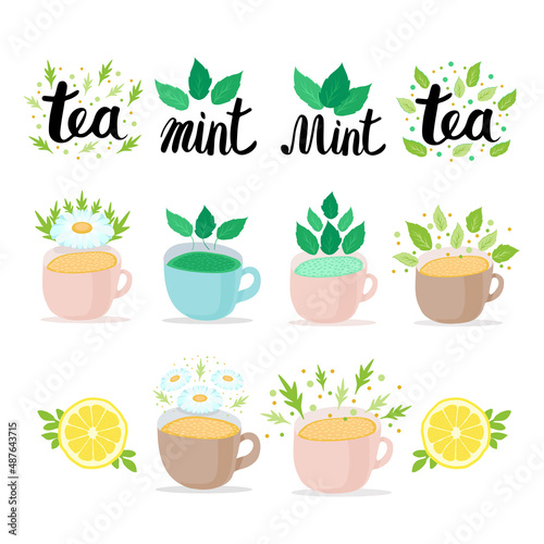 Collection of pastel Cups of Herbal Tea with mint, lemon, green-tea leaves and chamomile flowers. Lettering Tea and Mint. Flat vector illustration on white background.