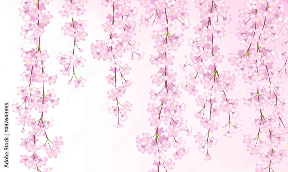 桜 シダレザクラ 背景素材 桜 シダレザクラ 背景素材