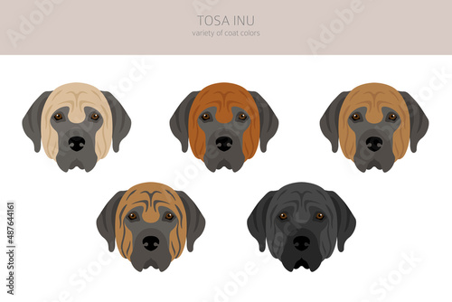 Tosa Inu clipart. Different poses, coat colors set
