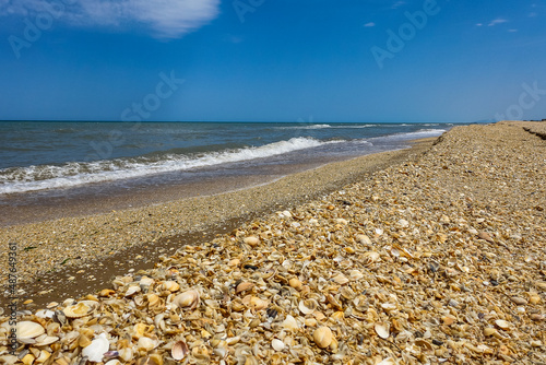 The shore of the Caspian Sea with shells. Dagestan. Russia 2021.