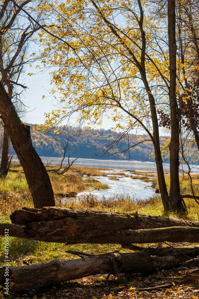 autumn view over the st croix river autumn view over the st croix river