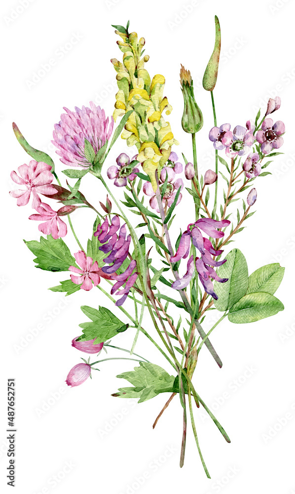 Watercolor wildflowers bouquet. Beautiful meadow flowers bunch. Floral arrangement.