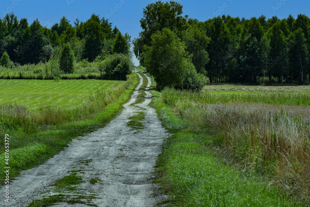 Chemin de campagne Chemin de campagne