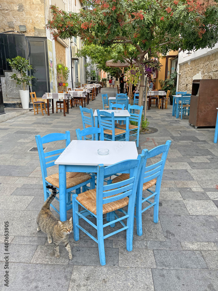 Beautiful empty street cafe in the summer without people due to lockdown, on the island of Cyprus. Blue chairs and tables of a street restaurant without people and a beautiful gray cat misses people