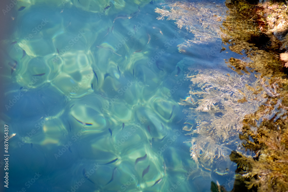 Fototapeta premium Clear sea water