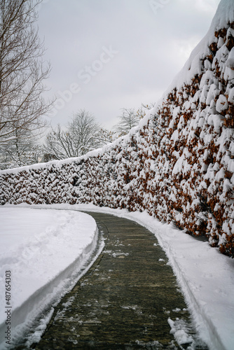 winter park of the city of Krasnodar. Galitskogo park photo