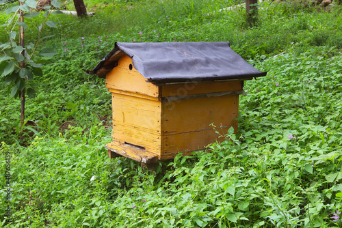 homemade apiary in the garden at their summer cottage.