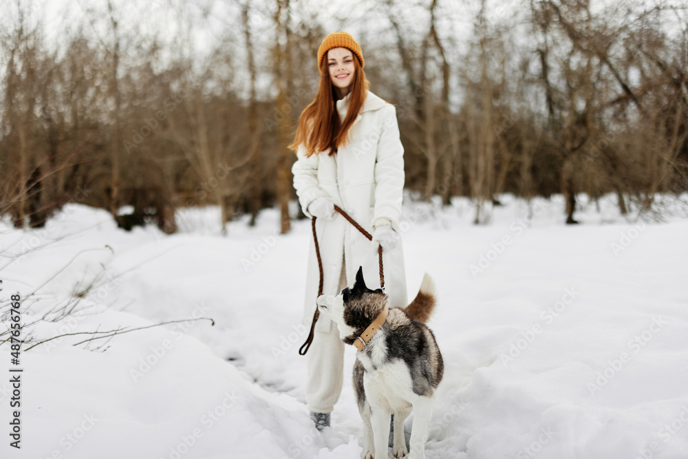 beautiful dog on a leash winter landscape walk friendship Lifestyle