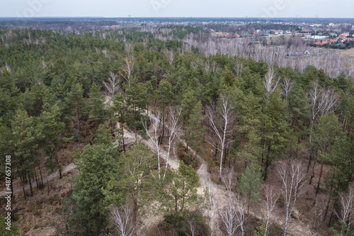 Bialoleka Dworska Forest in Bialoleka district in Warsaw, capital of Poland