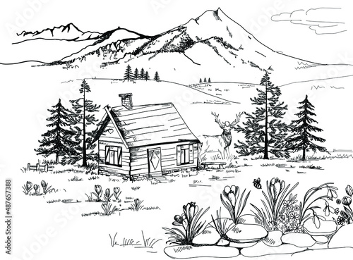 Spring landscape in the mountains in Zakopane in the Podhale region, spring in the mountains. A wooden hut, crocuses, saffron and snowdrops. Sketch, drawing, scribble, vector. photo