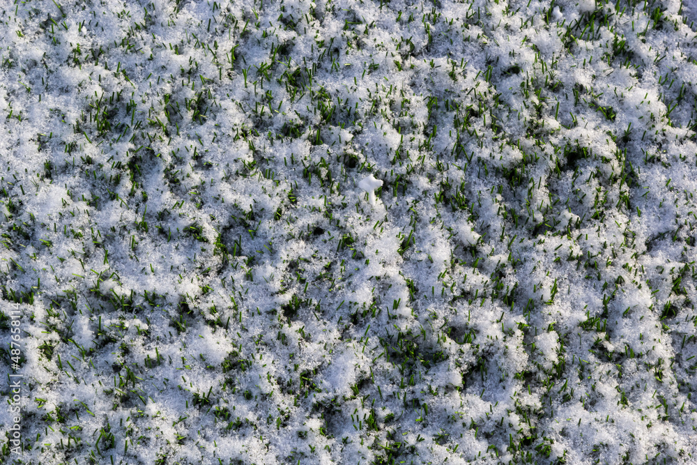 The football field with artificial green grass is covered with a light layer of snow. Early spring. Green grass on the football field is visible from under the snow. Amateur football field The football field with artificial green grass is covered with a light layer of snow. Early spring. Green grass on the football field is visible from under the snow. Amateur football field