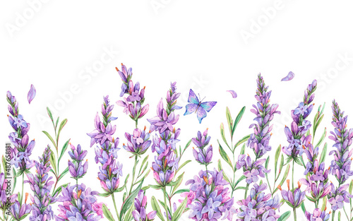 Watercolor lavender flowers natural greeting card in vintage style isolated on white background. Botanical illustration