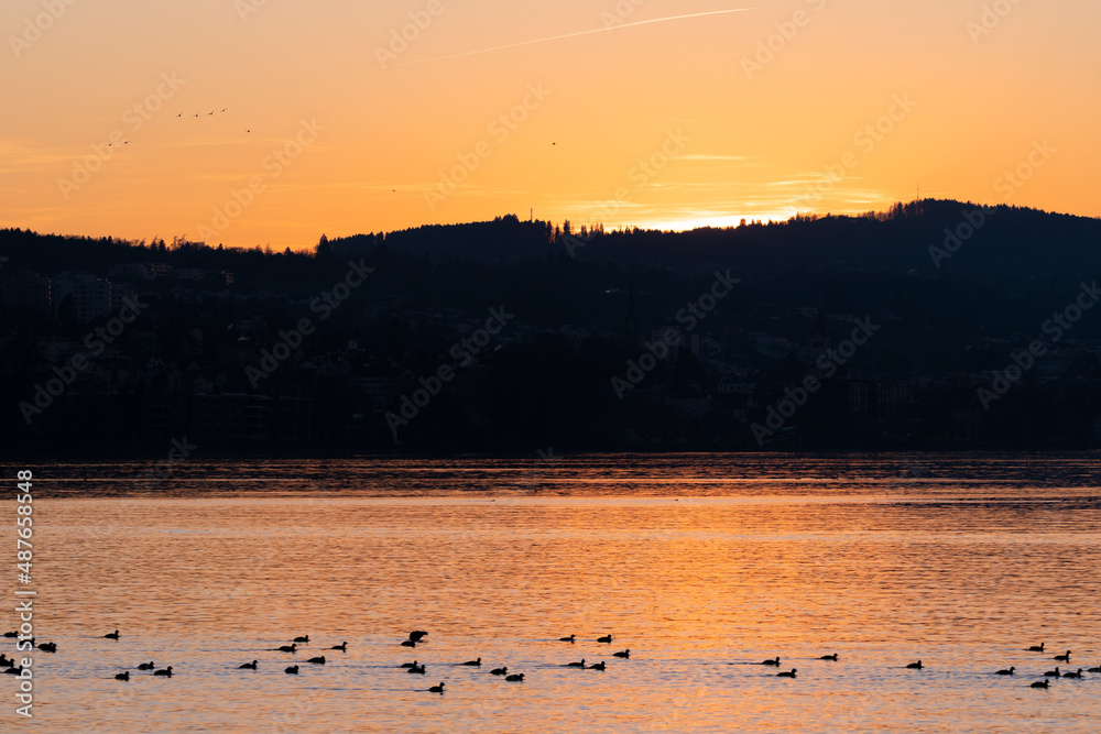 Evening mood at the lake of Constance in Altenrhein in Switzerland