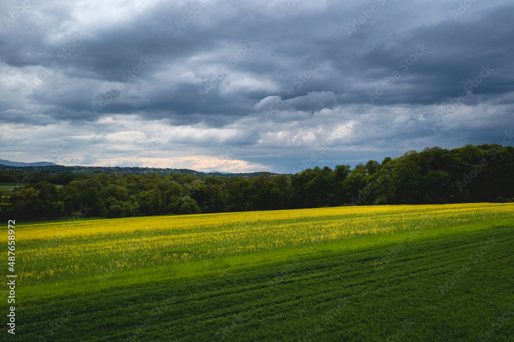 Field near Miedzyrzecze Gorne, small village in Silesia region, Poland