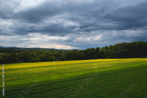 Field near Miedzyrzecze Gorne, small village in Silesia region, Poland