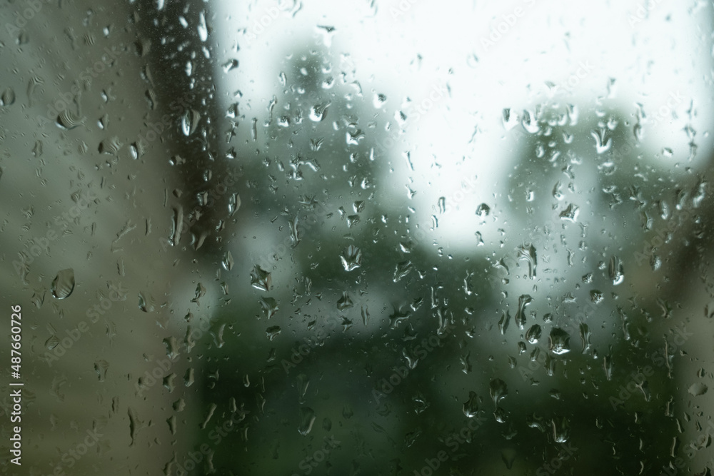 rain drops on window