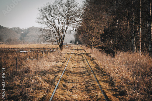 railroad tracks in winter