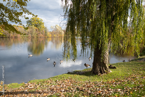 landscape with lake