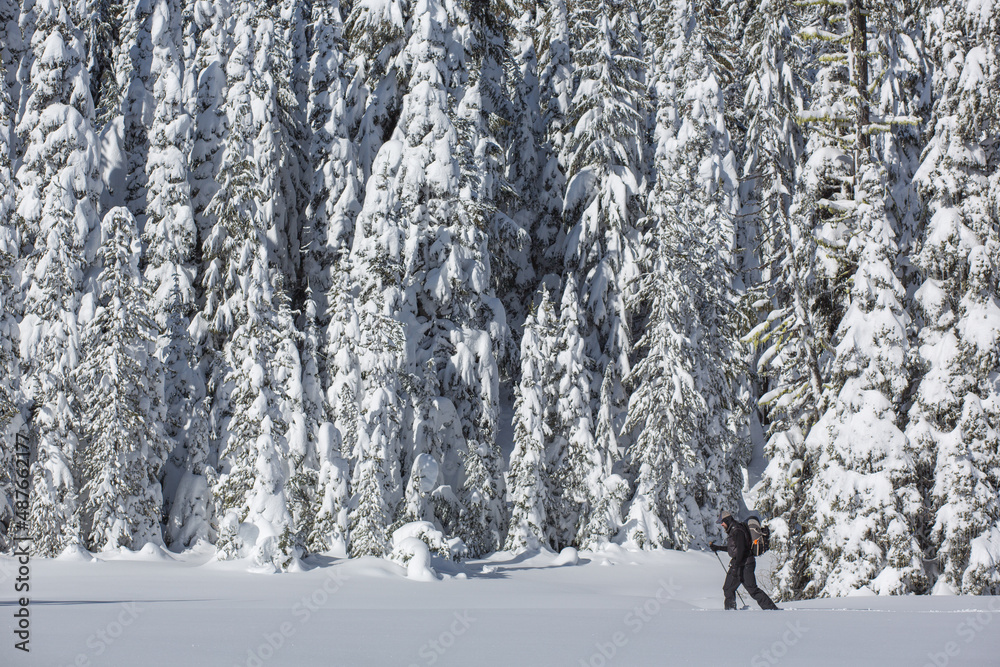 Fototapeta premium snow walker