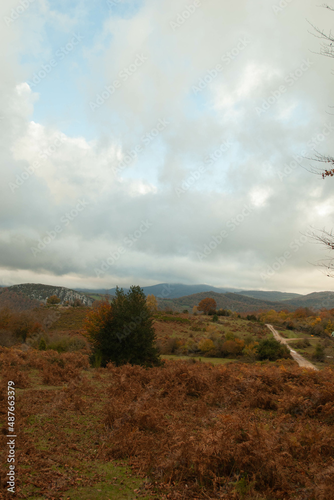 Fototapeta premium Flat and mountainous landscape of orange tones