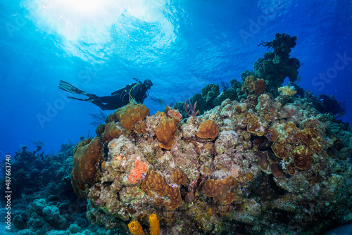 Colorful underwater coral landscabe with a scuba diver on Long Island, Bahamas, Caribbean sea photo