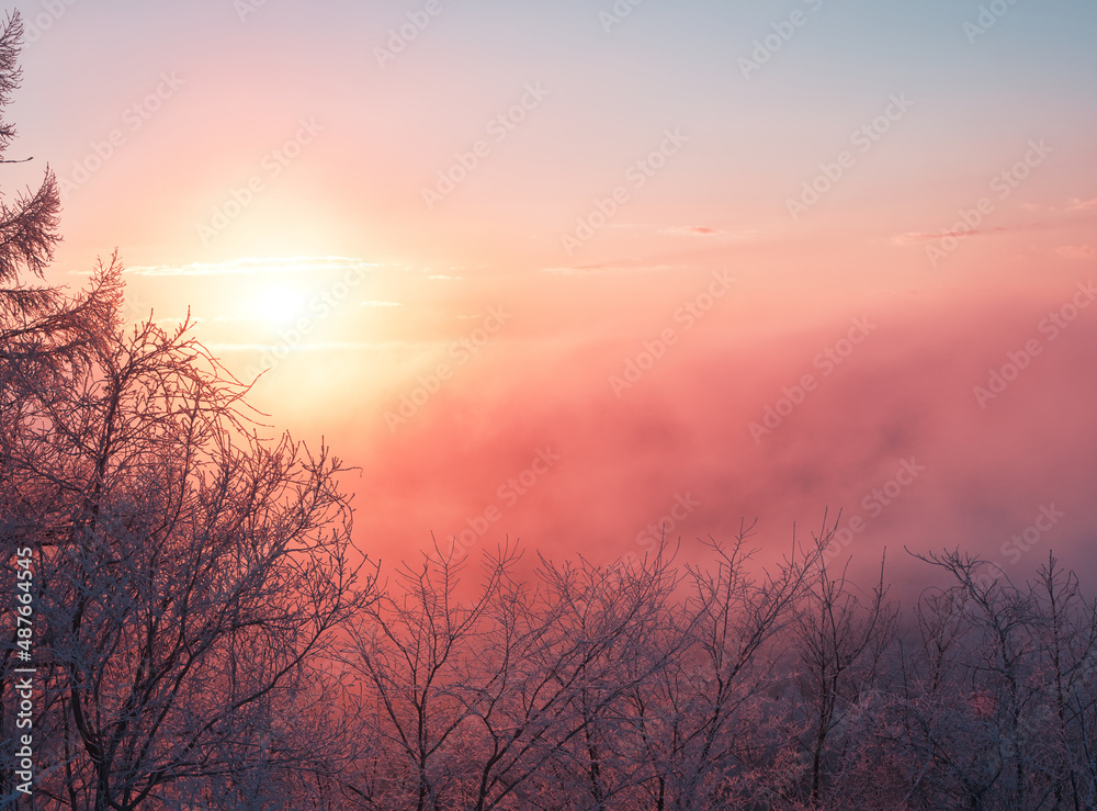 Fototapeta premium 冬の雲海