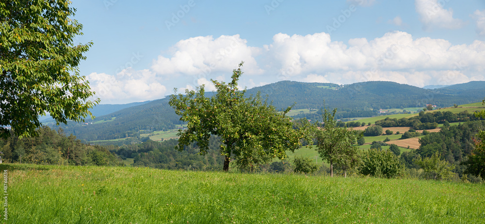 rural landscape Bayerischer Wald, green pasture and apple orchard, lower bavaria