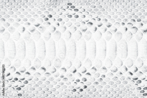 White snake skin texture, n...