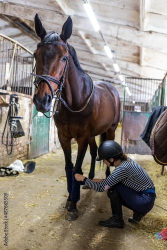 Young girl rider bandaging horse legs before training or competition