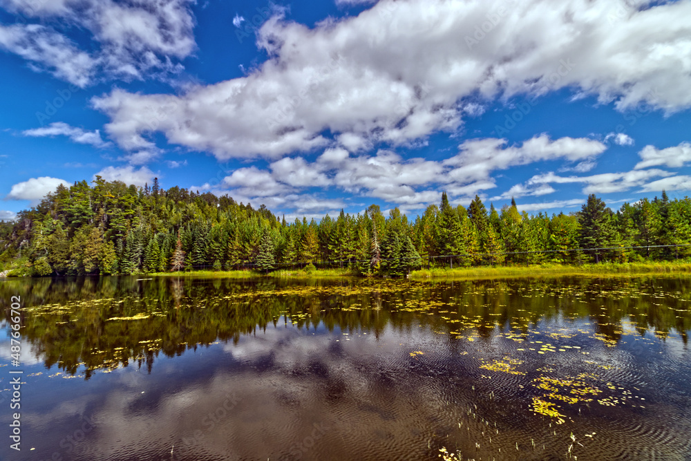 Fototapeta premium Algae floating on a quiet lake near the Canyon - Thunder Bay, Ontario, Canada