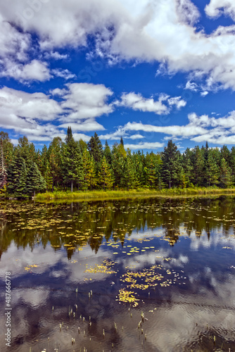 Thick spruce's ont he shore add beauty to the lake - Thunder Bay, Ontario, Canada © Ravi