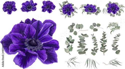Fototapeta Naklejka Na Ścianę i Meble -  Vector set of blue anemones and plants. Compositions of plants. Plants and flowers isolated on a white background. Elements for floral design.