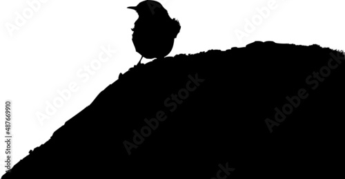 Oiseau sur un rocher, silhouette noire, vecteur transparent. 