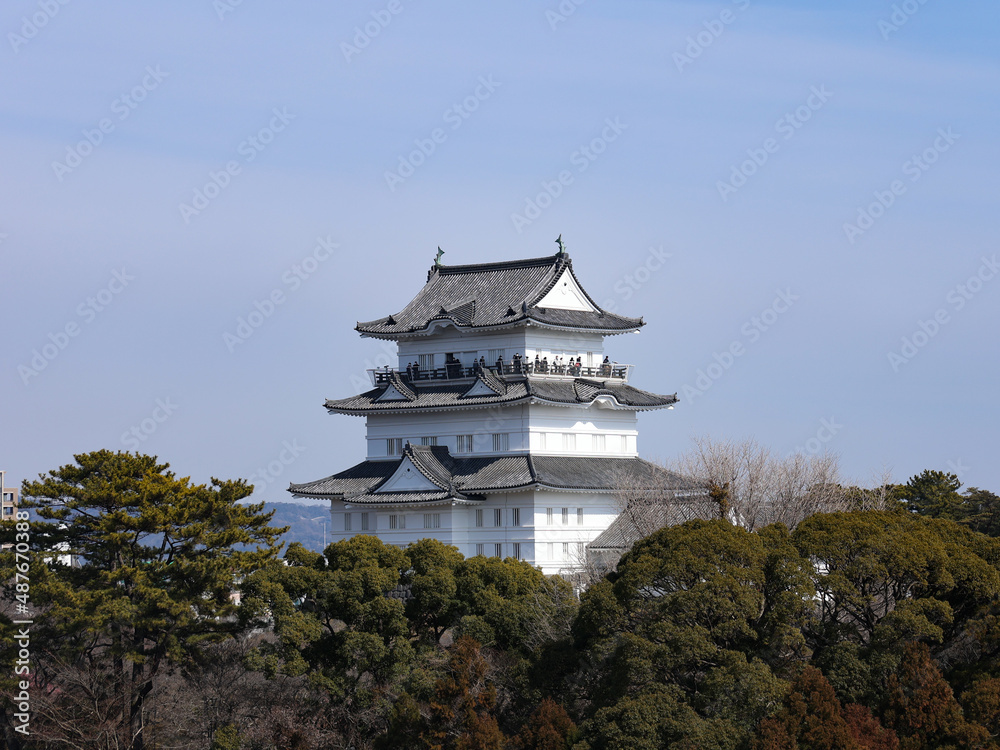 Fototapeta premium 冬の小田原城 神奈川県小田原市、日本