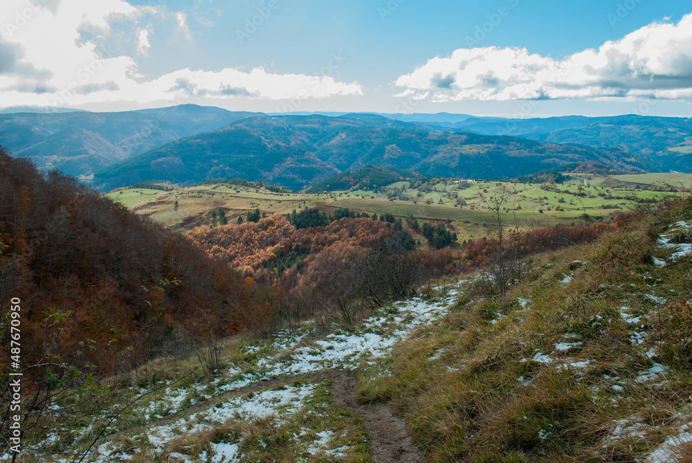 Mountain scenery with green and red forests