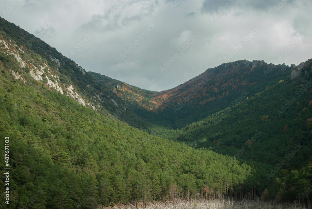 Fototapeta premium Mountain scenery with green and red forests