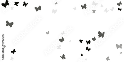 Magic black butterflies flying vector illustration. Spring ornate moths. Wild butterflies flying fantasy background. Delicate wings insects graphic design. Tropical creatures.