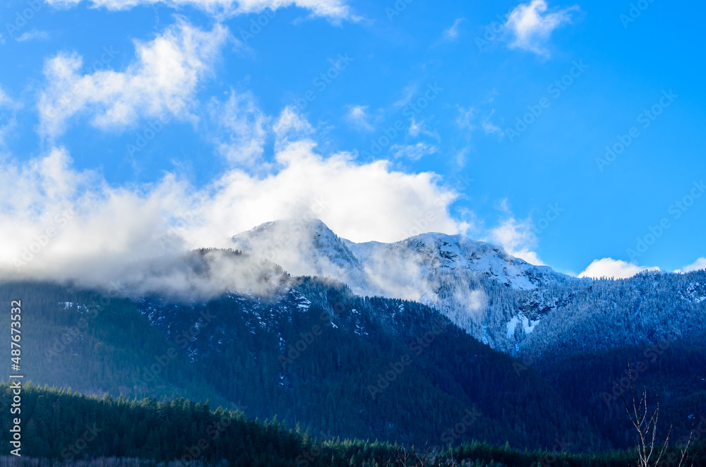 shot of majestic mountains with forest foreground in Vancouver, Canada, North America.