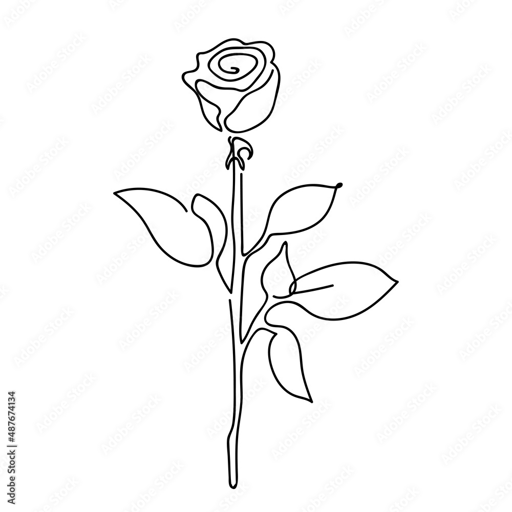 Rose Line Art Wallpaper | Unique and Beautiful Designs | Happywall