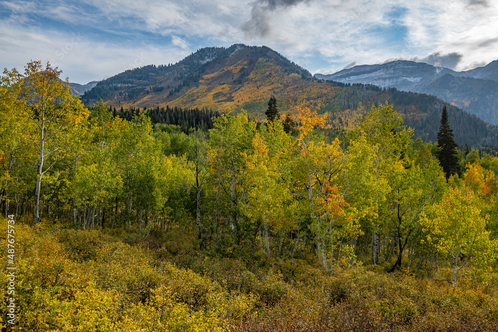 autumn in the mountains