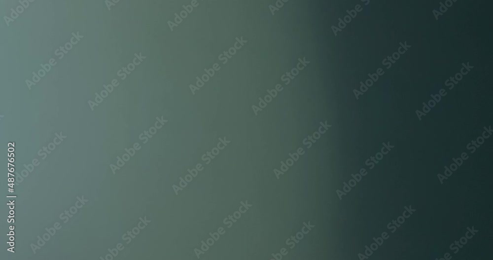 Effect Light Leaks Transition Overlay 60fps Effect Light Leaks Transition Overlay 60fps