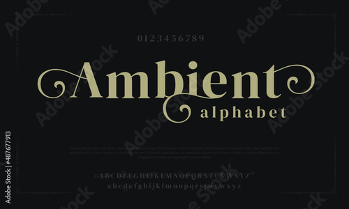 Premium luxury elegant alphabet letters and numbers. Elegant wedding typography classic serif font decorative vintage retro. Creative vector illustration
