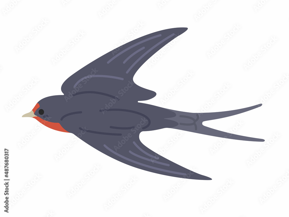 飛んでいる ツバメのイラスト Stock Vector Adobe Stock