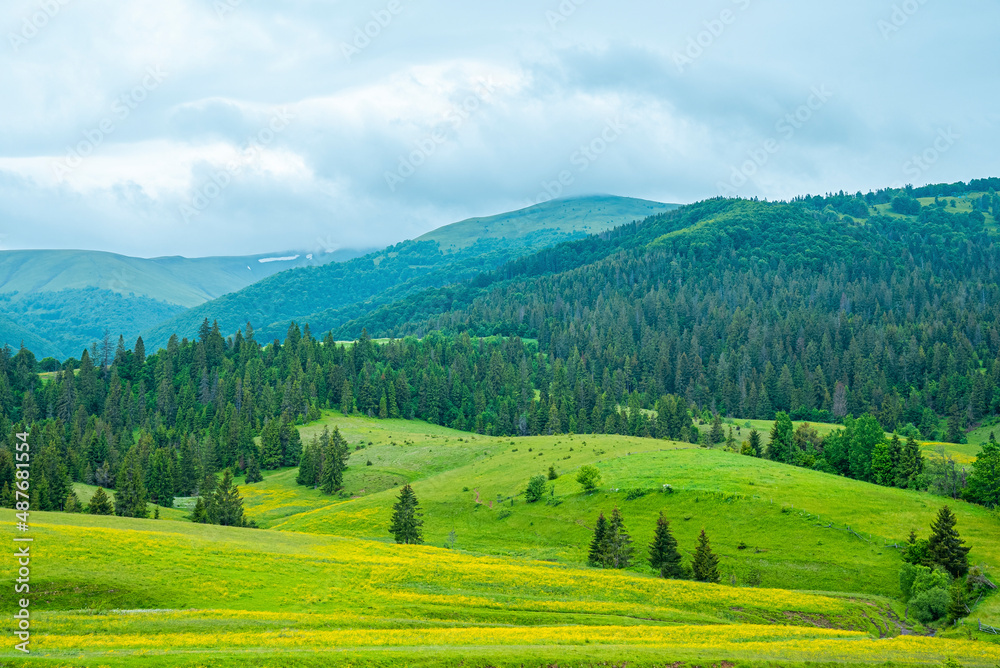 Scenic view of green trees on grassy covered hills with mountains against cloudy sky, Trees with beautiful mountain landscape Scenic view of green trees on grassy covered hills with mountains against cloudy sky, Trees with beautiful mountain landscape
