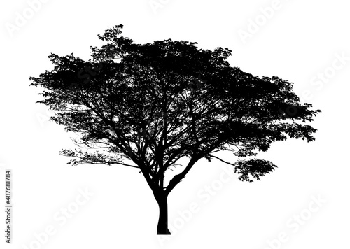 Tree silhouette for brush on white background.